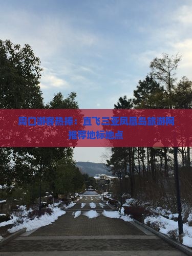 周口游客热捧：直飞三亚凤凰岛旅游网推荐地标地点