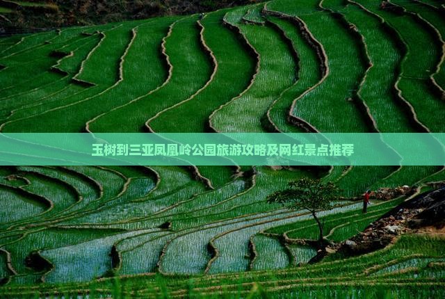 玉树到三亚凤凰岭公园旅游攻略及网红景点推荐
