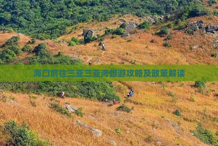 海口前往三亚三亚湾旅游攻略及政策解读