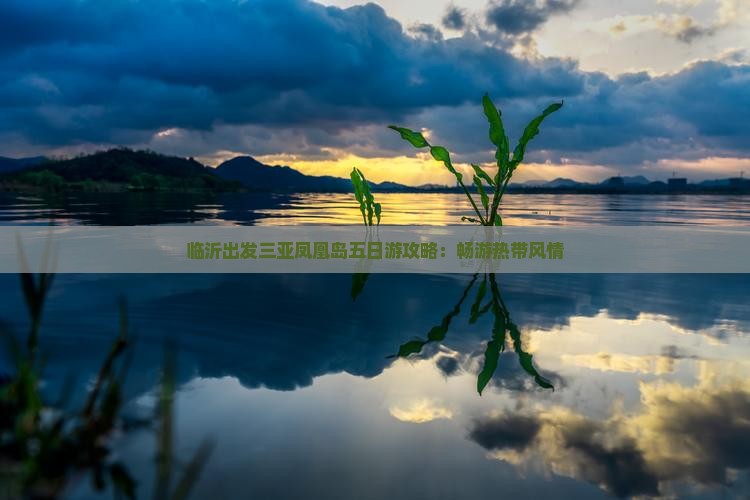 临沂出发三亚凤凰岛五日游攻略：畅游热带风情