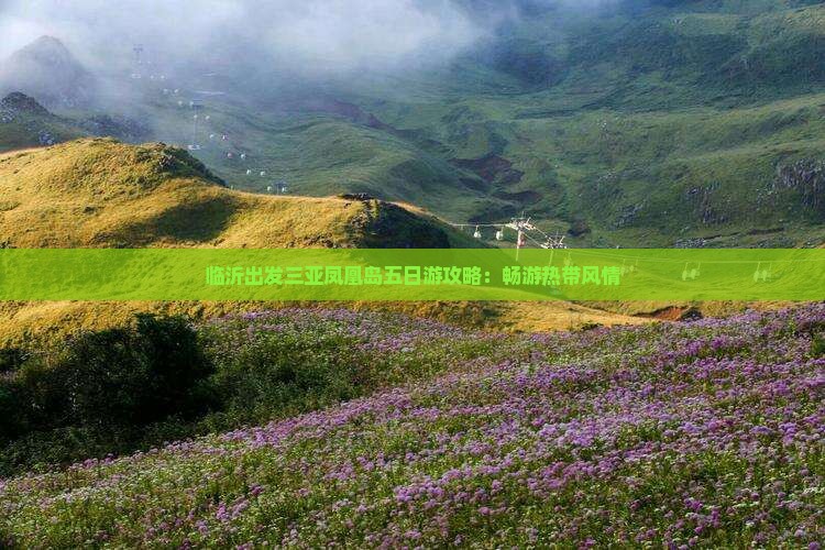 临沂出发三亚凤凰岛五日游攻略：畅游热带风情