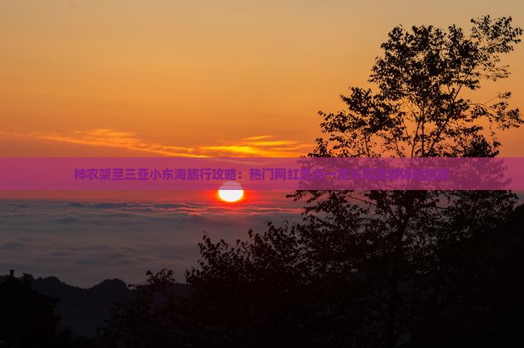 神农架至三亚小东海旅行攻略：热门网红景点一览与深度游体验指南