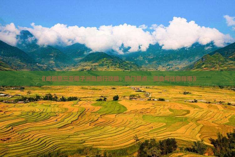 《成都至三亚椰子洲岛旅行攻略：热门景点、美食与住宿指南》