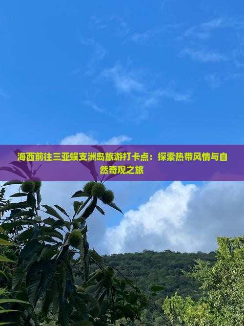 海西前往三亚蜈支洲岛旅游打卡点：探索热带风情与自然奇观之旅