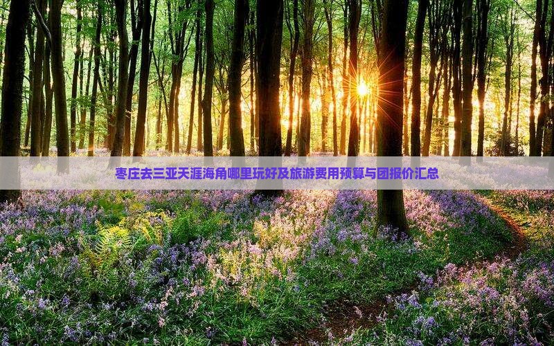 枣庄去三亚天涯海角哪里玩好及旅游费用预算与团报价汇总 枣庄去三亚天涯海角哪里玩好及旅游费用预算与团报价汇总