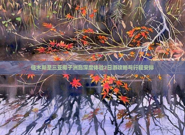 佳木斯至三亚椰子洲岛深度体验2日游攻略与行程安排