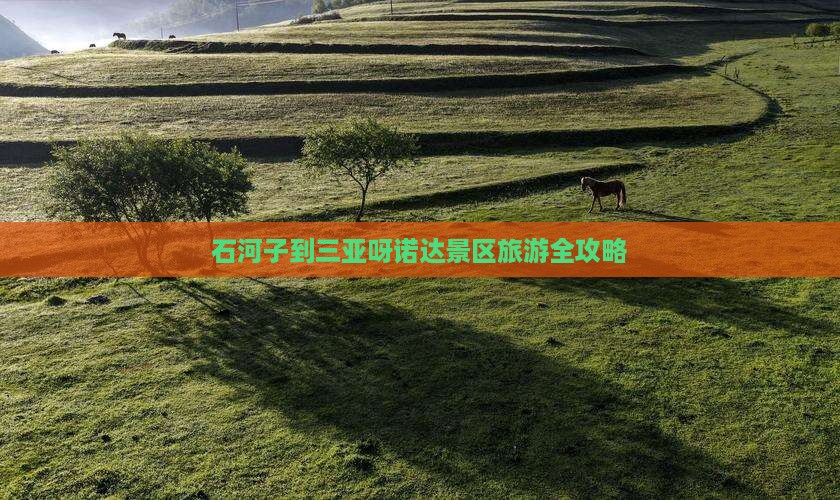 石河子到三亚呀诺达景区旅游全攻略
