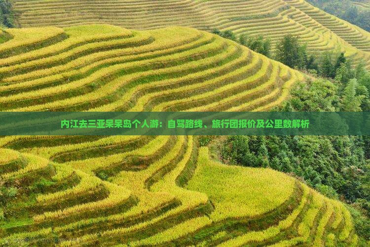 内江去三亚呆呆岛个人游：自驾路线、旅行团报价及公里数解析
