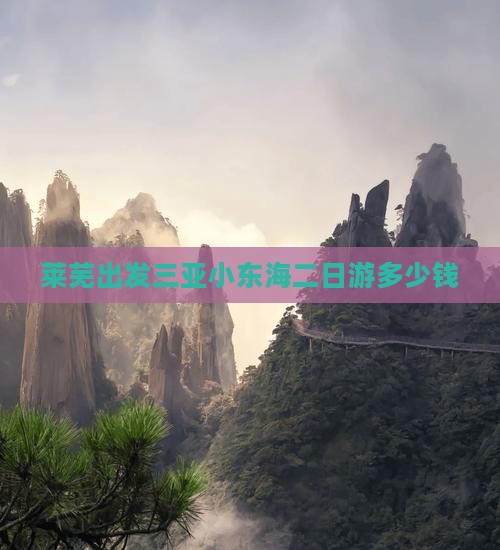 莱芜出发三亚小东海二日游多少钱