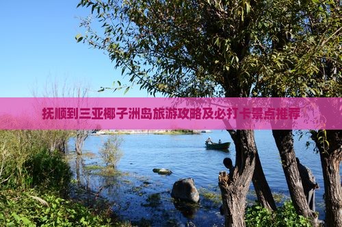 抚顺到三亚椰子洲岛旅游攻略及必打卡景点推荐