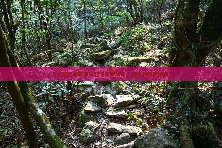 《大理出发海南三亚湾旅游攻略：团体畅游全指南》