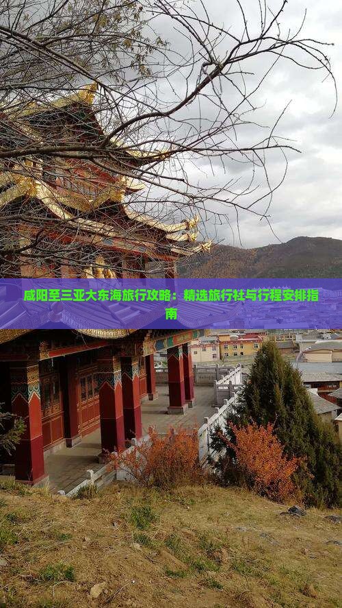 咸阳至三亚大东海旅行攻略：精选旅行社与行程安排指南