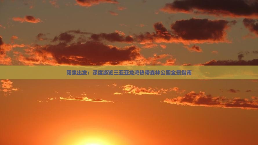 阳泉出发：深度游览三亚亚龙湾热带森林公园全景指南