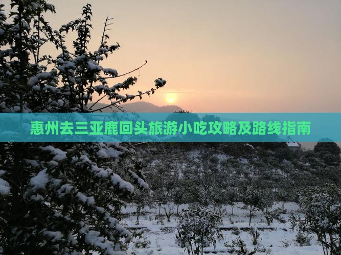 惠州去三亚鹿回头旅游小吃攻略及路线指南