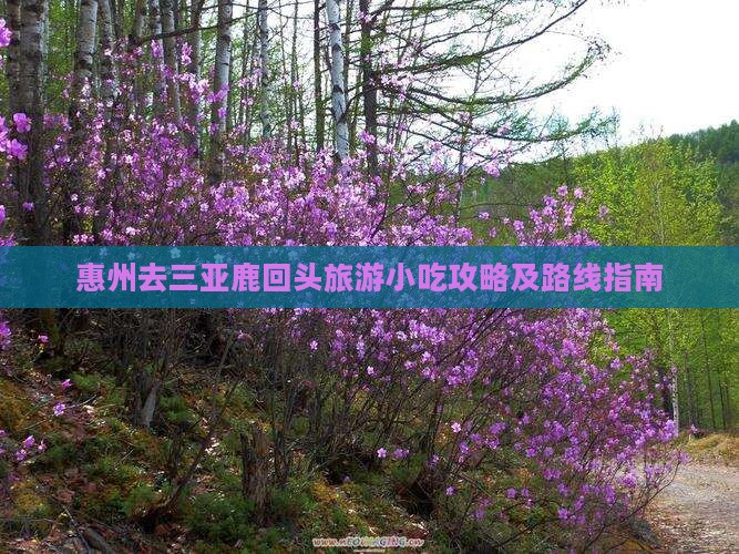 惠州去三亚鹿回头旅游小吃攻略及路线指南