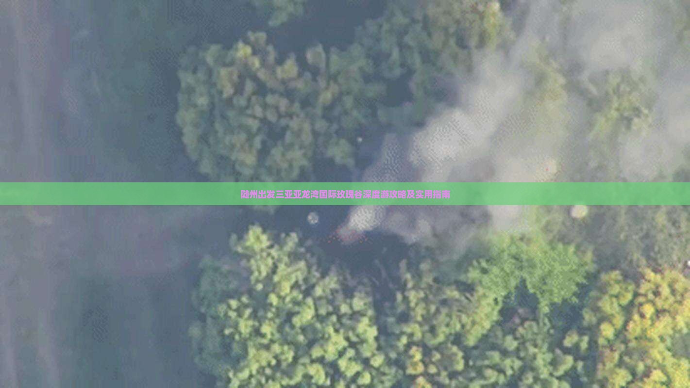 随州出发三亚亚龙湾国际玫瑰谷深度游攻略及实用指南