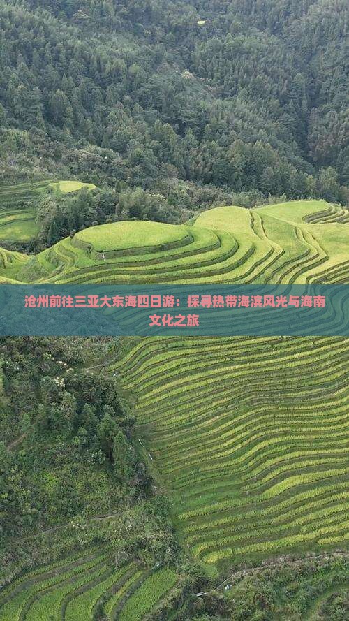 沧州前往三亚大东海四日游：探寻热带海滨风光与海南文化之旅