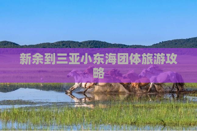 新余到三亚小东海团体旅游攻略