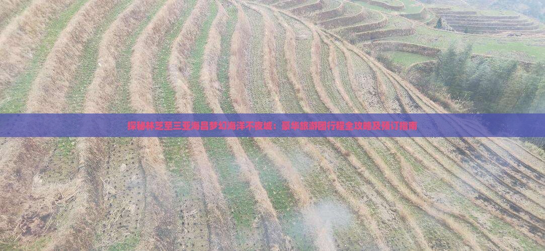 探秘林芝至三亚海昌梦幻海洋不夜城：豪华旅游团行程全攻略及预订指南