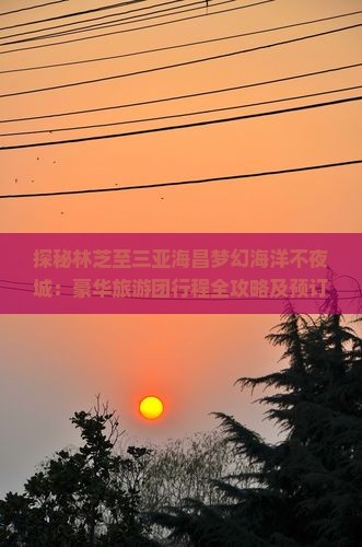 探秘林芝至三亚海昌梦幻海洋不夜城：豪华旅游团行程全攻略及预订指南