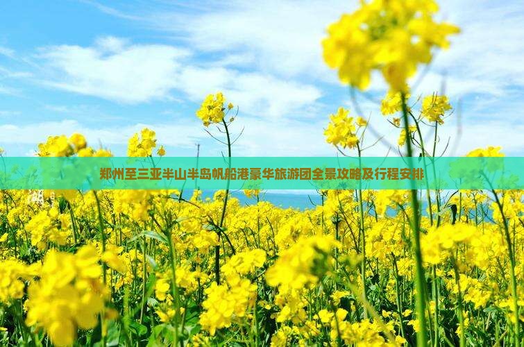 郑州至三亚半山半岛帆船港豪华旅游团全景攻略及行程安排