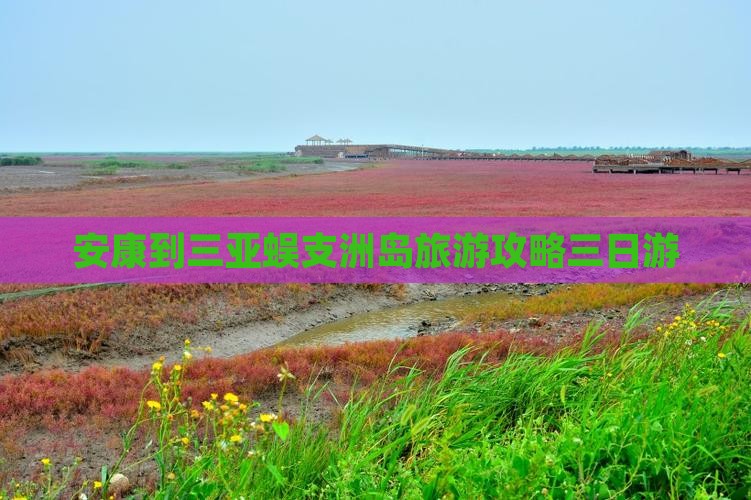 安康到三亚蜈支洲岛旅游攻略三日游