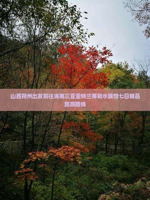 山西朔州出发前往海南三亚亚特兰蒂斯水族馆七日精品旅游路线 山西朔州出发前往海南三亚亚特兰蒂斯水族馆七日精品旅游路线