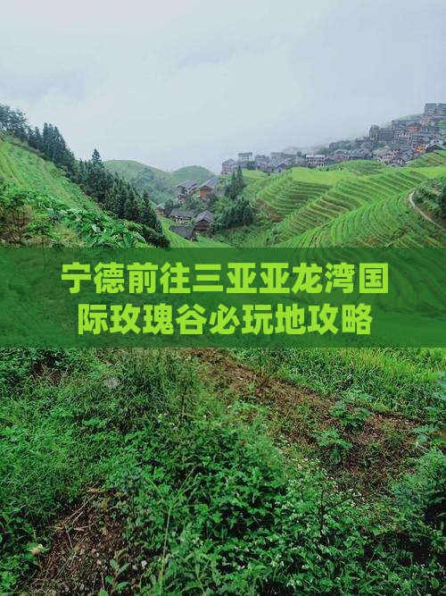 宁德前往三亚亚龙湾国际玫瑰谷必玩地攻略