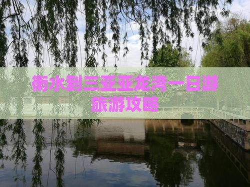 衡水到三亚亚龙湾一日游旅游攻略