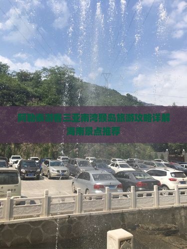 阿勒泰游客三亚南湾猴岛旅游攻略详解海南景点推荐
