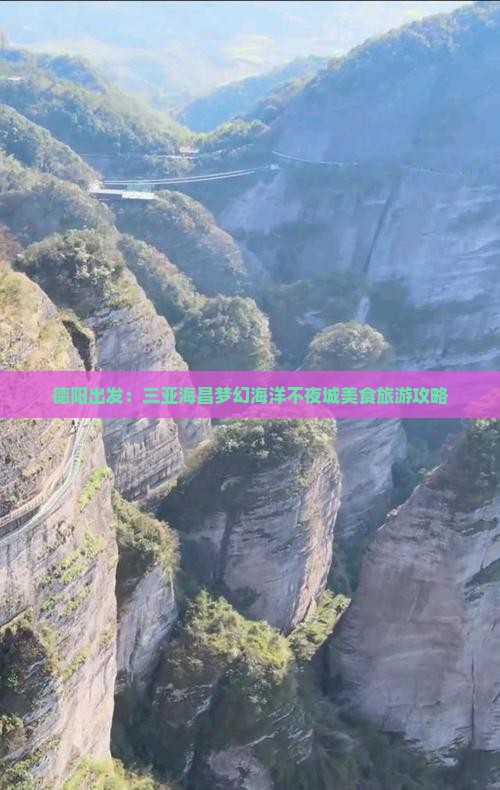 德阳出发：三亚海昌梦幻海洋不夜城美食旅游攻略