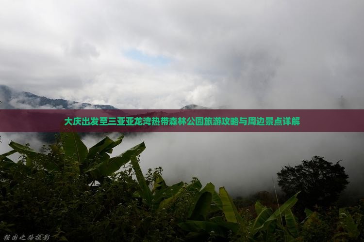 大庆出发至三亚亚龙湾热带森林公园旅游攻略与周边景点详解