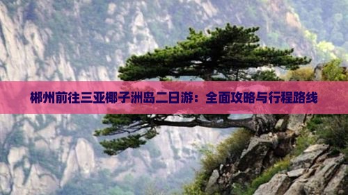 郴州前往三亚椰子洲岛二日游：全面攻略与行程路线