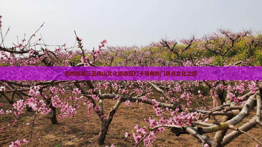衢州游客三亚南山文化旅游区打卡海南热门景点文化之旅