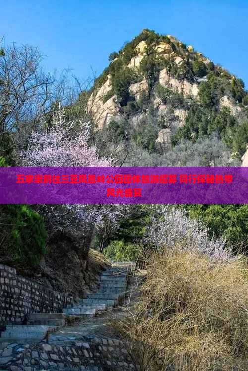 五家渠前往三亚凤凰岭公园团体旅游招募 同行探秘热带风光盛宴