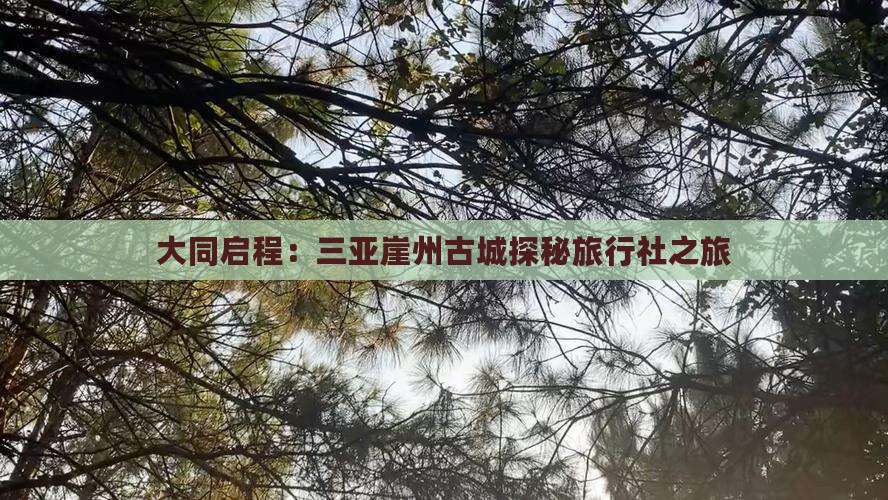 大同启程：三亚崖州古城探秘旅行社之旅