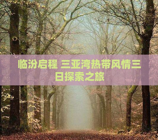 临汾启程 三亚湾热带风情三日探索之旅