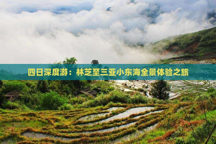 四日深度游：林芝至三亚小东海全景体验之旅
