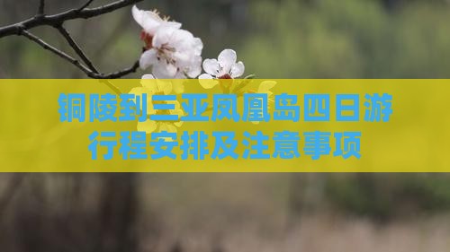 铜陵到三亚凤凰岛四日游行程安排及注意事项