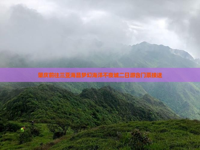 肇庆前往三亚海昌梦幻海洋不夜城二日游含门票接送