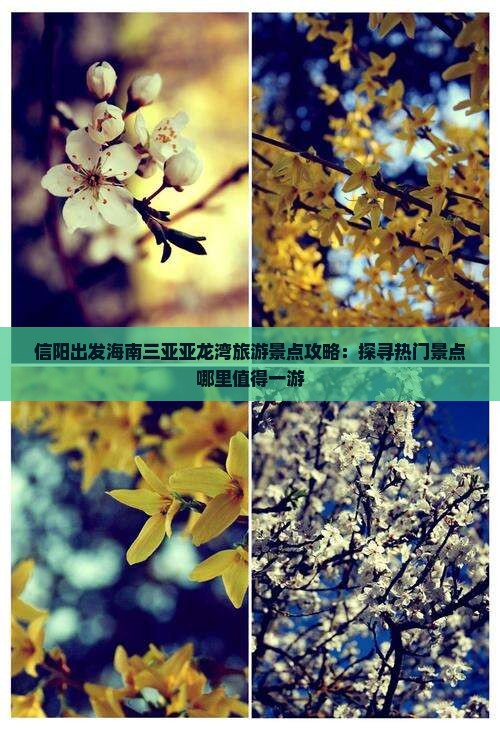 信阳出发海南三亚亚龙湾旅游景点攻略：探寻热门景点哪里值得一游