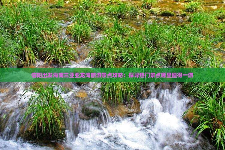 信阳出发海南三亚亚龙湾旅游景点攻略：探寻热门景点哪里值得一游