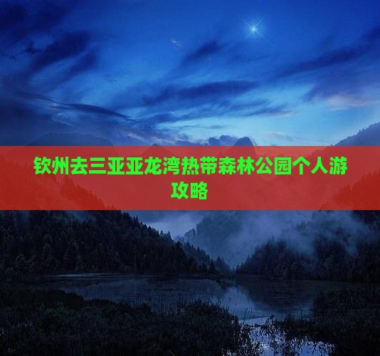 钦州去三亚亚龙湾热带森林公园个人游攻略