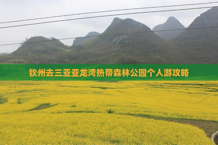 钦州去三亚亚龙湾热带森林公园个人游攻略