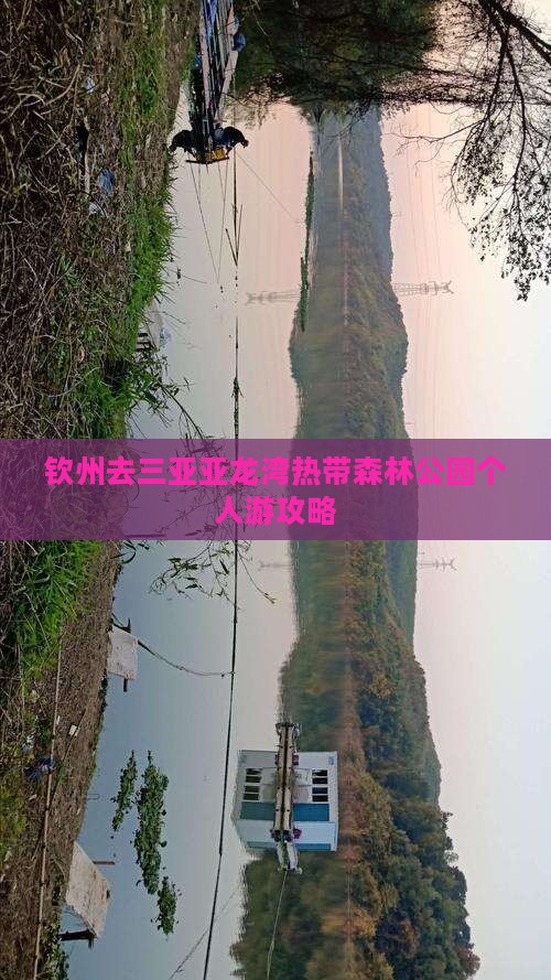 钦州去三亚亚龙湾热带森林公园个人游攻略