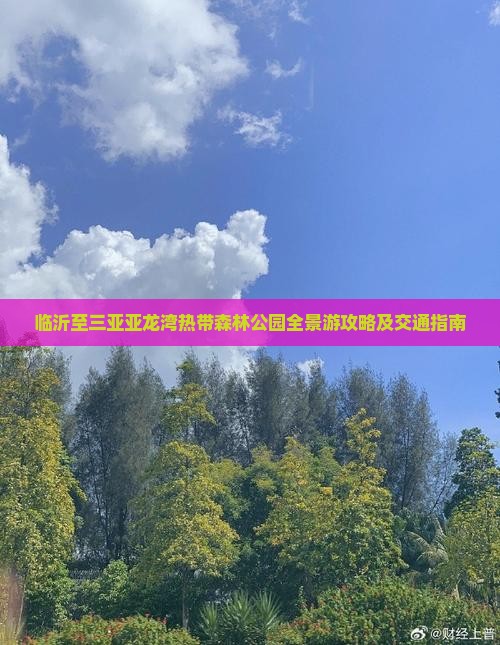 临沂至三亚亚龙湾热带森林公园全景游攻略及交通指南