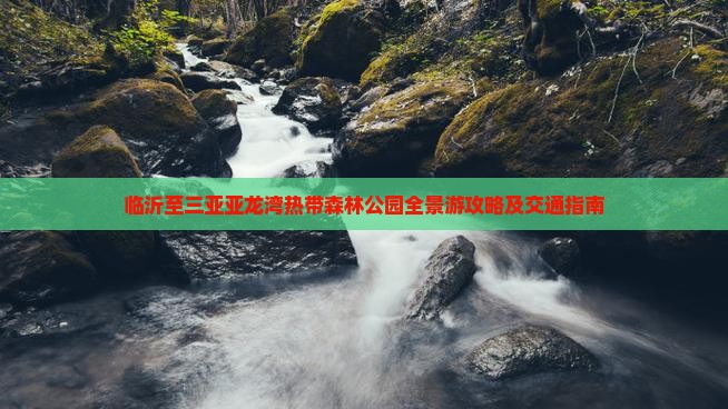 临沂至三亚亚龙湾热带森林公园全景游攻略及交通指南