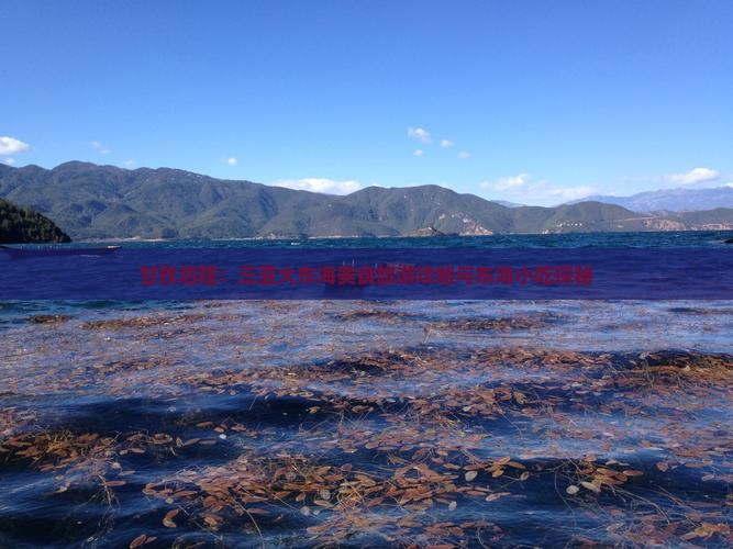 甘孜启程：三亚大东海美食旅游攻略与东海小吃探秘