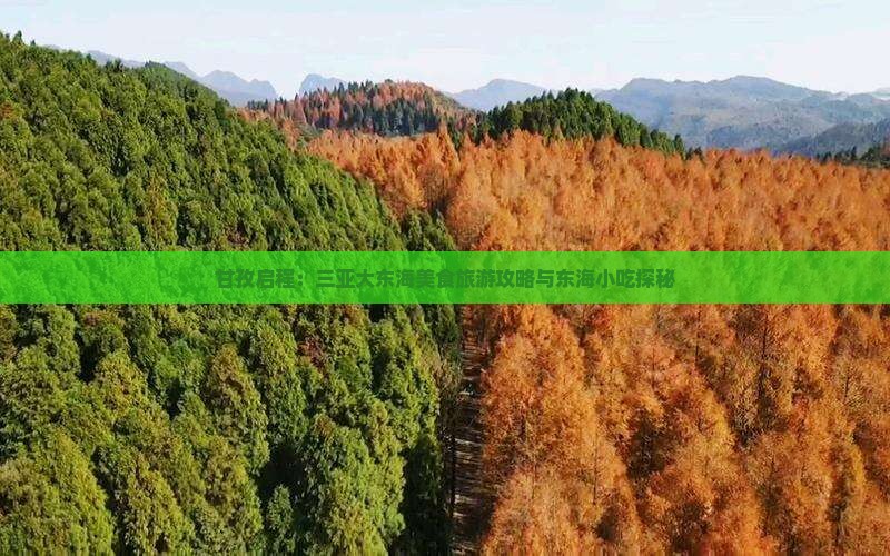 甘孜启程：三亚大东海美食旅游攻略与东海小吃探秘