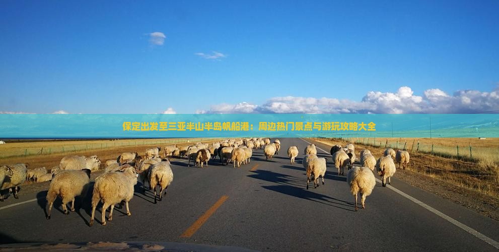 保定出发至三亚半山半岛帆船港：周边热门景点与游玩攻略大全